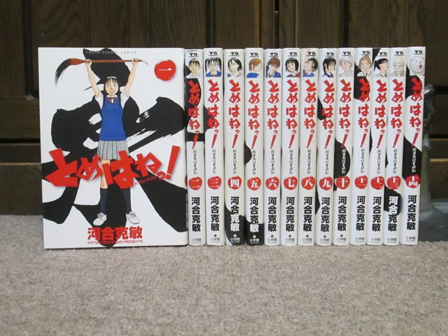 『とめはねっ! 鈴里高校書道部』書影